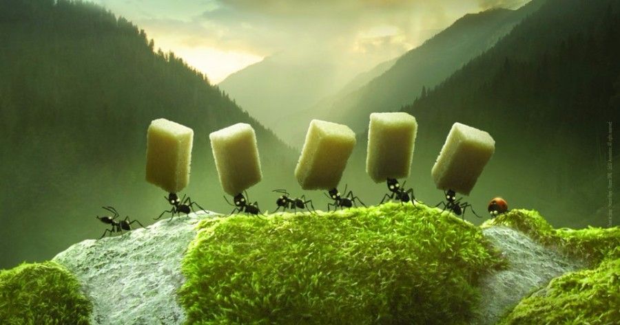 Película de Animación 3d-Serie TV. animación-El Valle de las Hormigas Perdidas