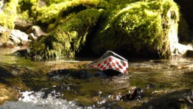 Película de Animación-3d- El Valle de las Hormigas Perdidas