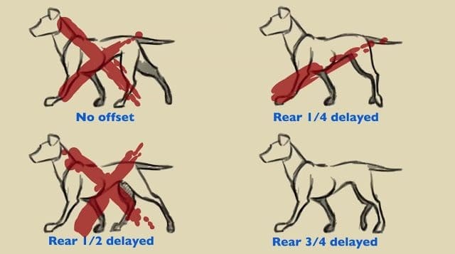 Tutorial Animación 2D de Cuadrúpedos - Felix Sputnik