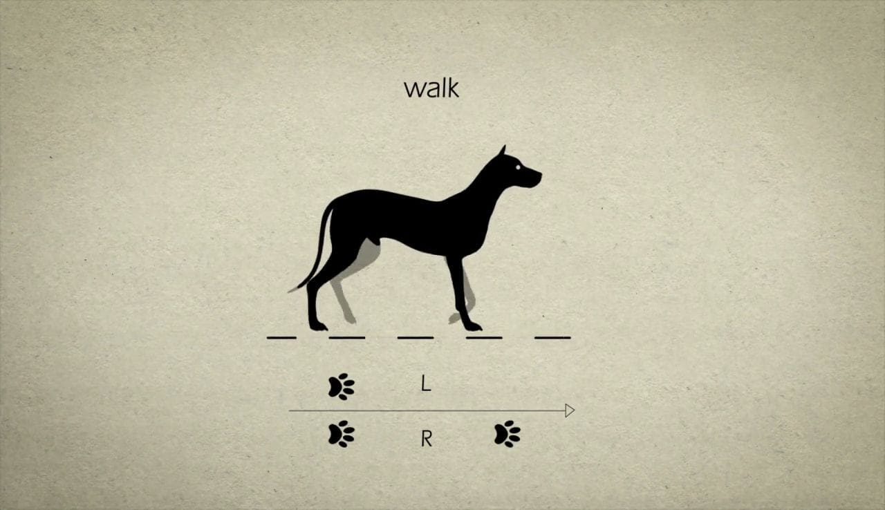 Tutorial de Animación de Caminatas 2D
