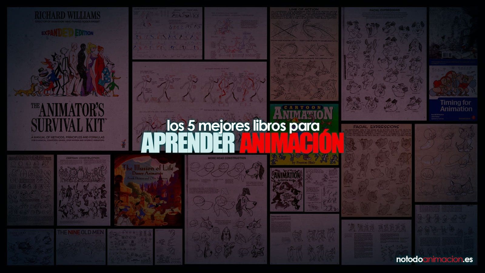 Libros para aprender Animación