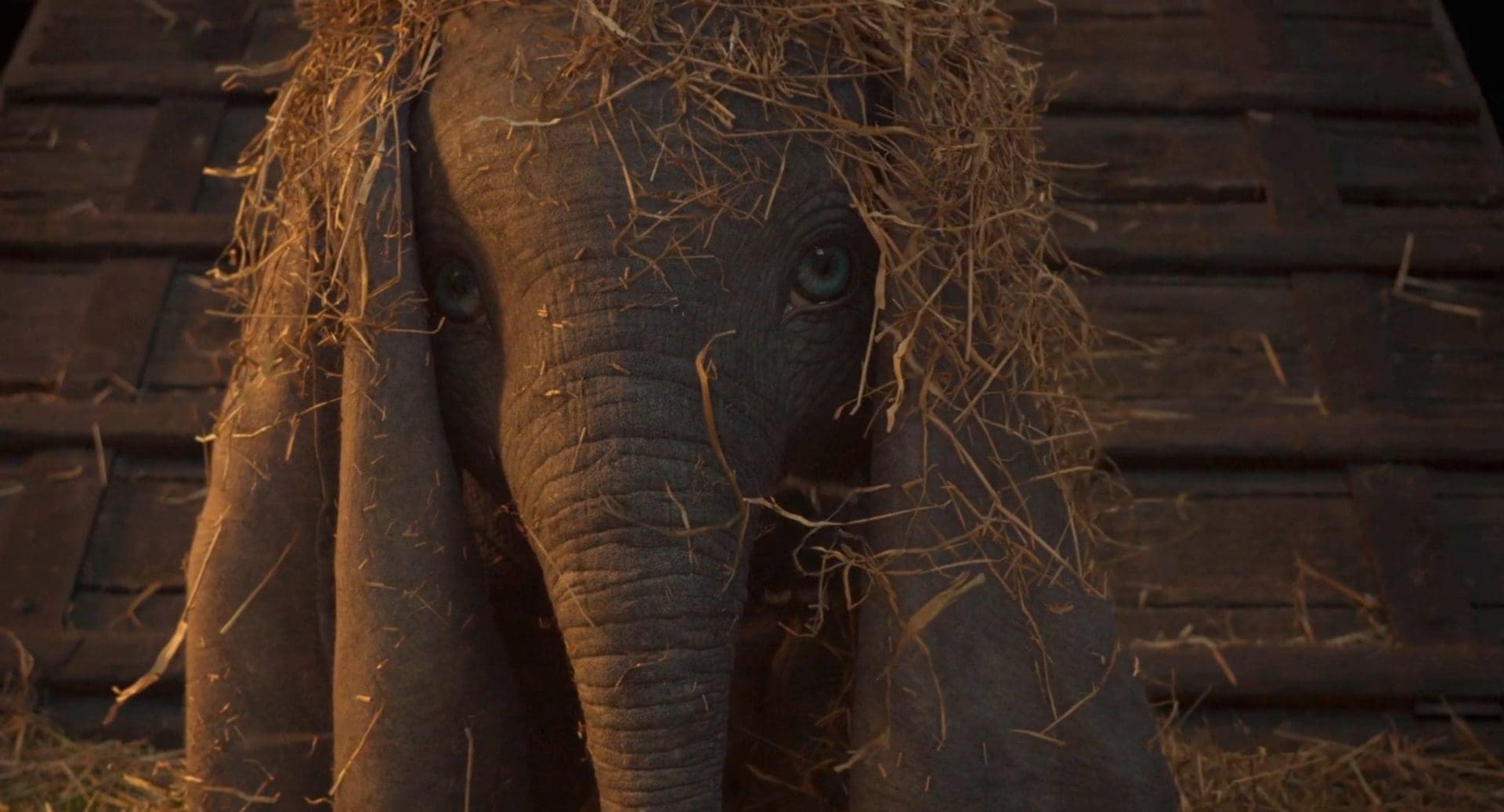 Películas de Animación - Dumbo (Disney - Tim Burton) 2019