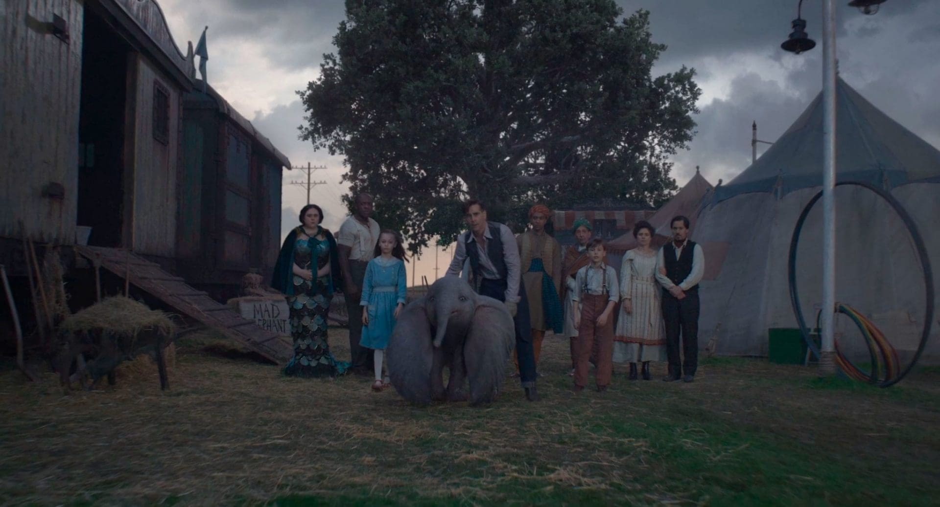 Películas de Animación - Dumbo (Disney - Tim Burton) 2019