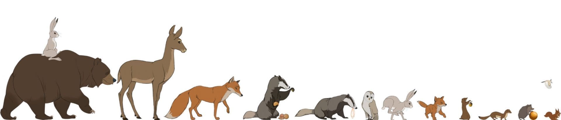 Spot / Cortometraje de Animación & Making of. The Bear & The Hare