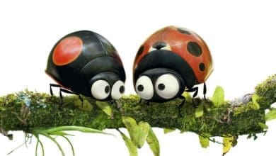 Trailer-película-de-animación-estreno-Miniscule-Mandibles-From-Far-Away