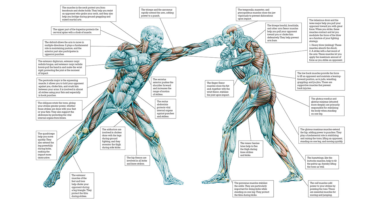 libro Strength Training Anatomy