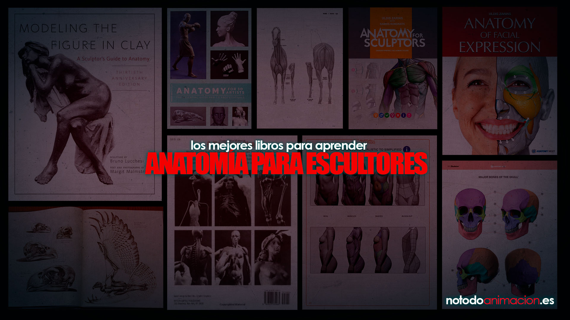 libros anatomia para escultura