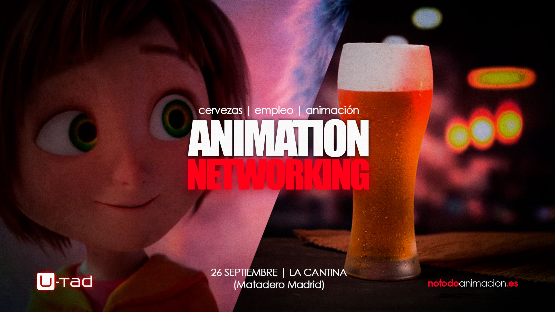 animation networking