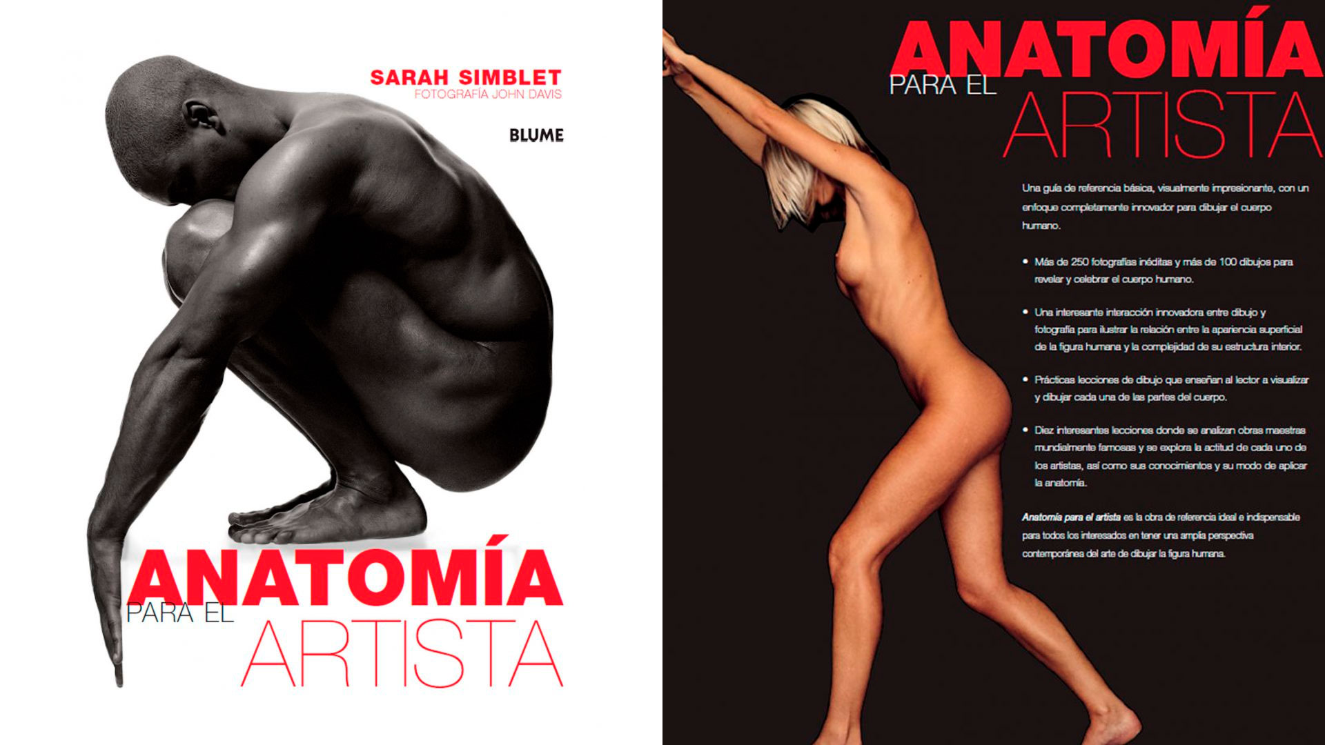 Anatomía para el Artista | anatomía humana dibujo pdf gratis