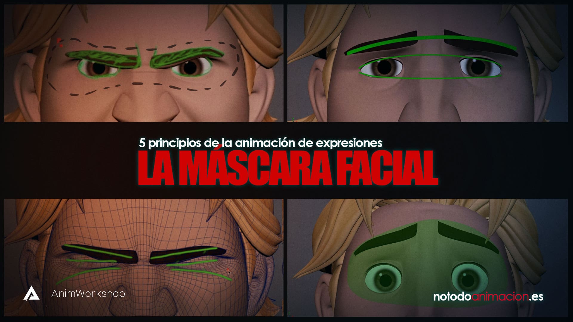 principios animacion expresiones