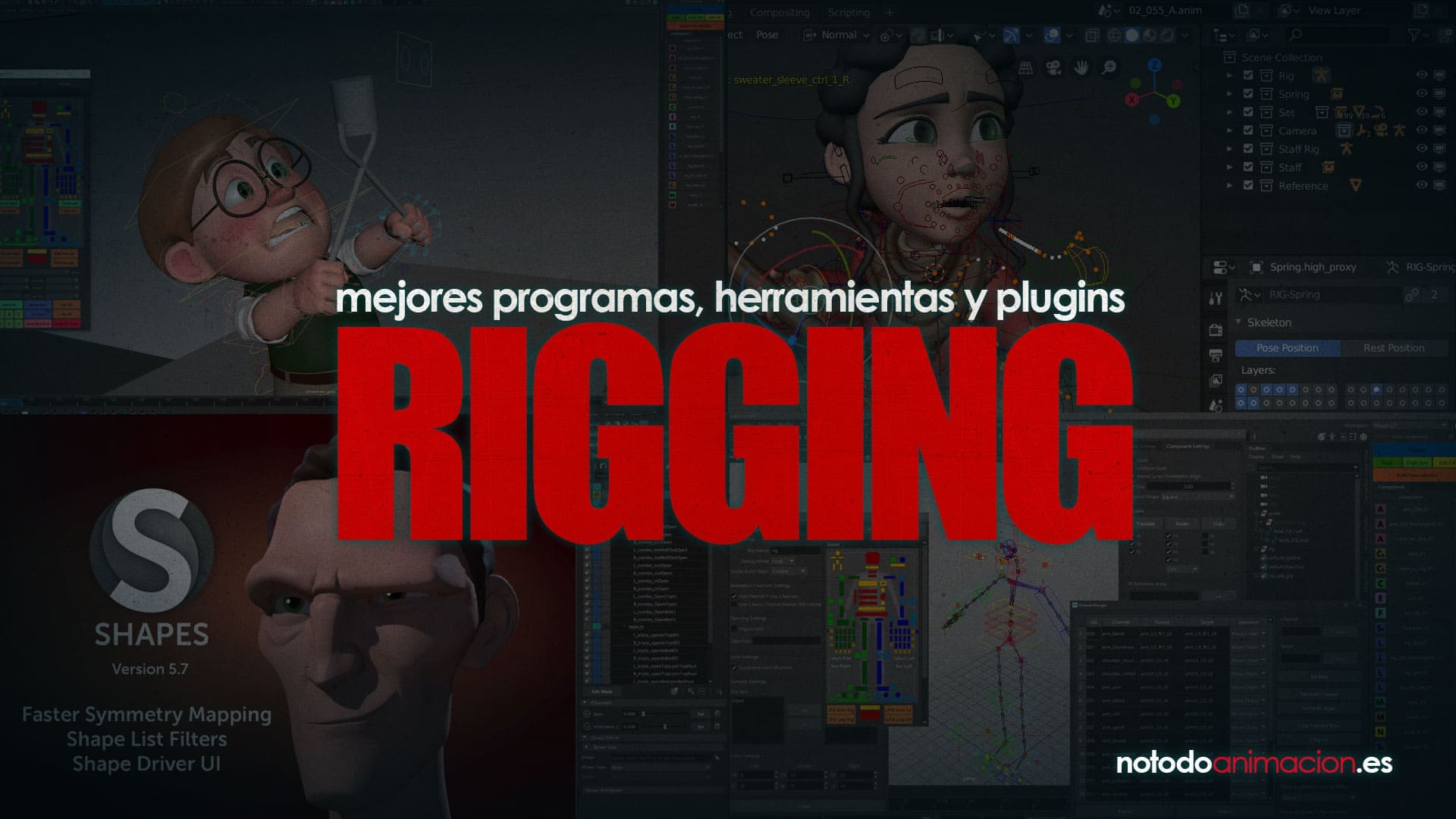 programas de rigging