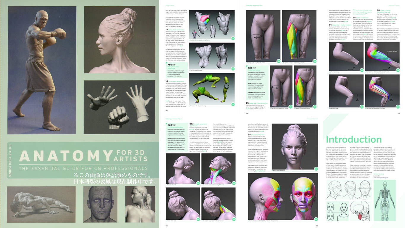 Anatomy for 3D Artists: The Essential Guide for Cg Professionals