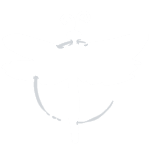Dragon-Fly Studio