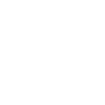 MR. X