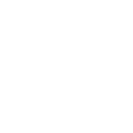 LITTLE ZOO STUDIO